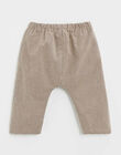 Pantalon en vichy beige et gris ILKAI 23 / 24IU2111N03080