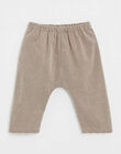 Pantalon en vichy beige et gris ILKAI 23 / 24IU2111N03080